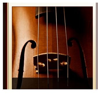 Interview with Tanya Davis, Author & Freelance Writer, Owner of Fiddlesticks Stringed Instruments