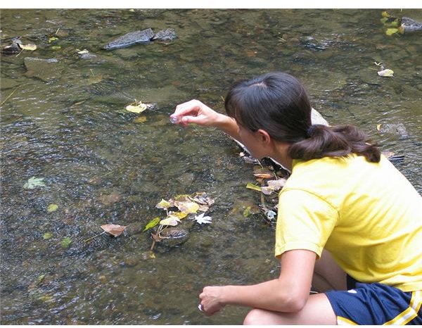 800px-Field Trip- water sampling