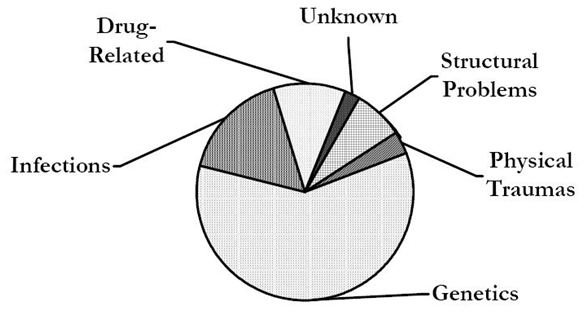 Types of Hereditary Deafness: Syndromic and NonSyndromic