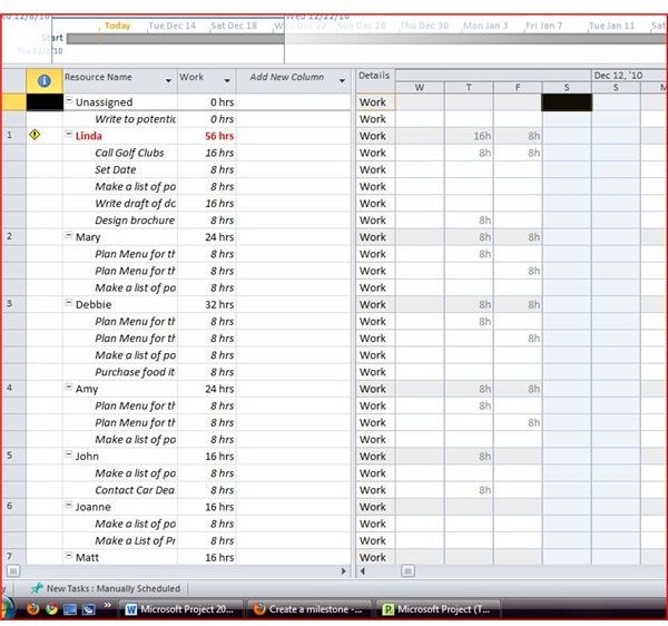 Project - View Resource Staff Usage