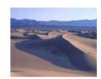 Arid & Desert Biomes: Explanation & Activity Ideas
