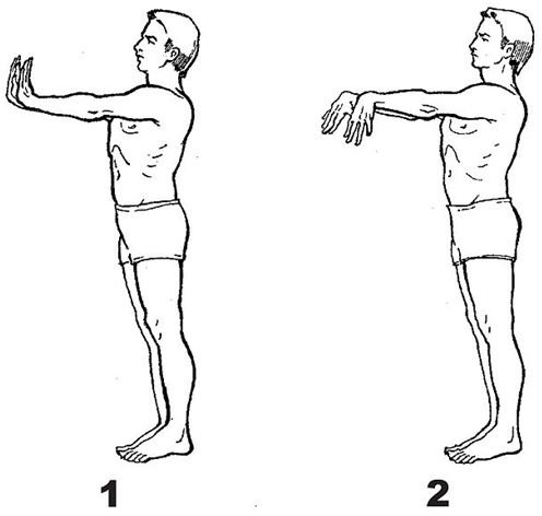 brain gym lateral movements