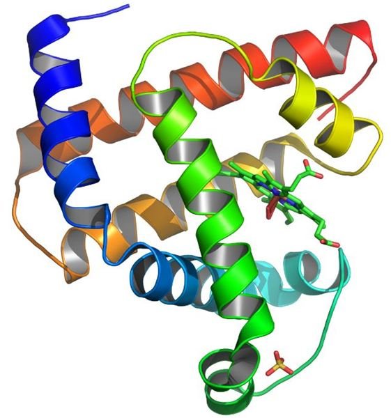 What Is Macromolecular Docking and What is Protein Docking? Why is it Important?