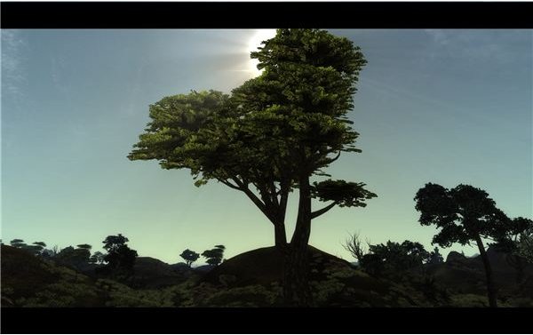 Morrowind Overhaul Landscape
