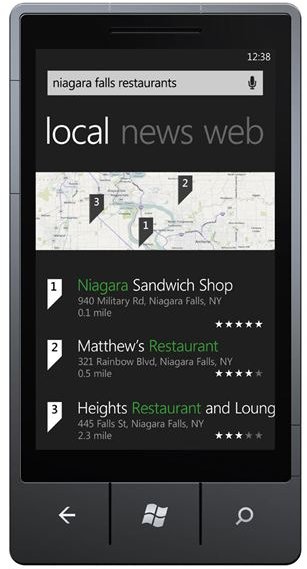 Marketplace Alternatives to the Native Windows Phone Search Tools