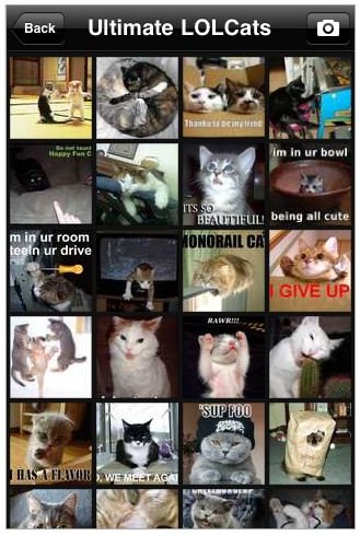 Ultimate LOL Cats