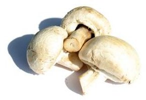 Nutrition in Mushrooms: Comprehensive Guide Including Calories, Fat, Carbs, Protein, Vitamins & Minerals