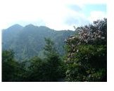 Great Smoky Mountains Overlook