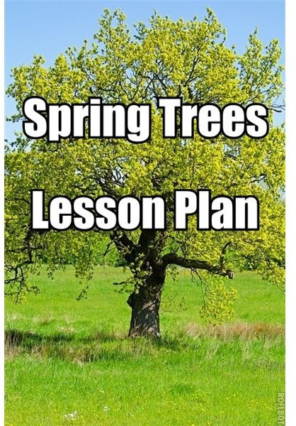 Trees in Spring: Lesson Plan for 3rd to 5th Graders - Perfect for a Tree Unit