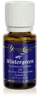 Wintergreen Essential Oil Uses and Precautions
