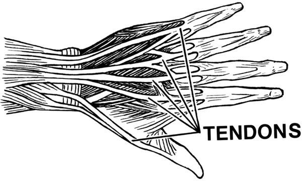 Treatment of Tendinitis:  What are Your Options?