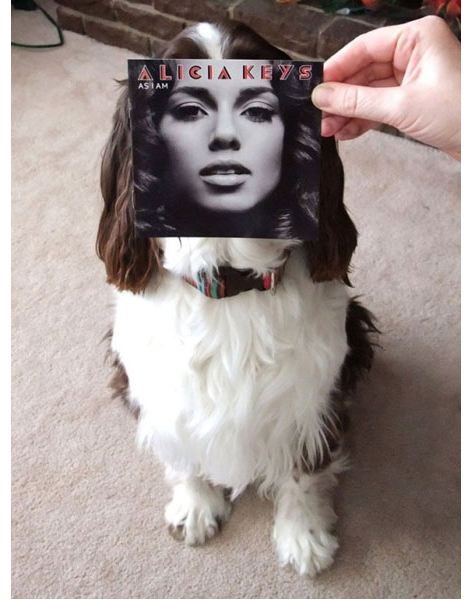 sleeveface-photography