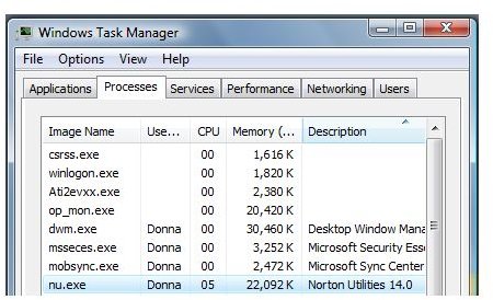 Memory Usage of Norton Utilities