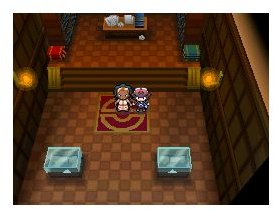 Pokemon Black and White Screenshot