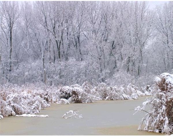 collection-winter-backgrounds-lake2