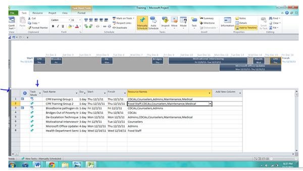 format timeline in ms project 2010