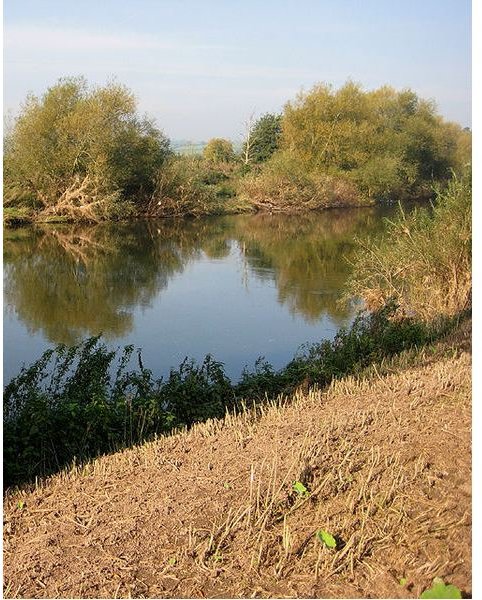 469px-Willows by the Wye - geograph.org.uk - 980299