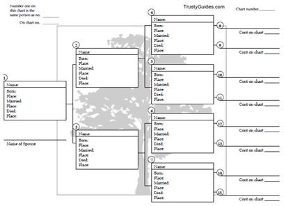 7 Generation Family Tree Template from img.bhs4.com