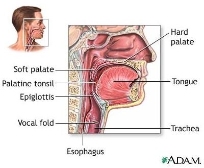 Learn How to Get Rid of a Sore Throat Naturally