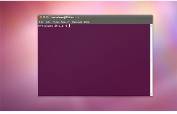 Ubuntu Linux Terminal