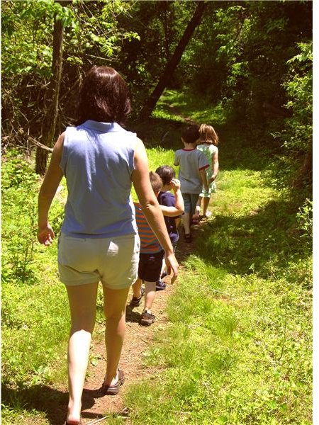 Take Your Preschool Class on a Walk: Educational Summer Activity on Learning Through your Senses
