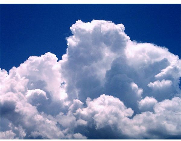 Should You Rely on Cloud Computing for Your Accounting Needs?