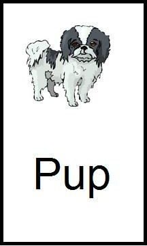 Pup Flashcard