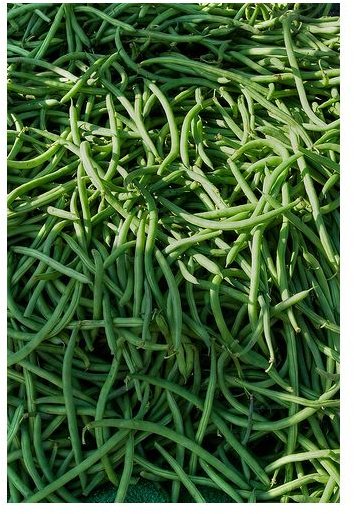 Learn More about Green Bean Nutrition!