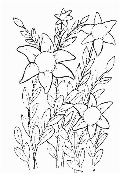 Springtime Spotlight: Five Free Sites with Flower Coloring Sheets