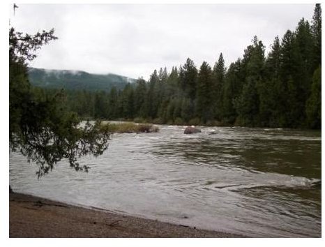 A view of the Blackfoot River from PAWS UP Montana. Photo taken by Stephanie Mojica.