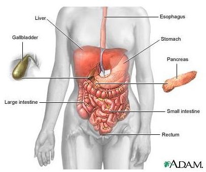 Learn about Rectal Cancer Symptoms