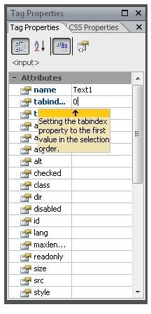 Setting the tabindex property for an input (click to expand)