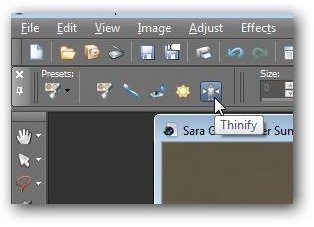 Select Thinify Tool