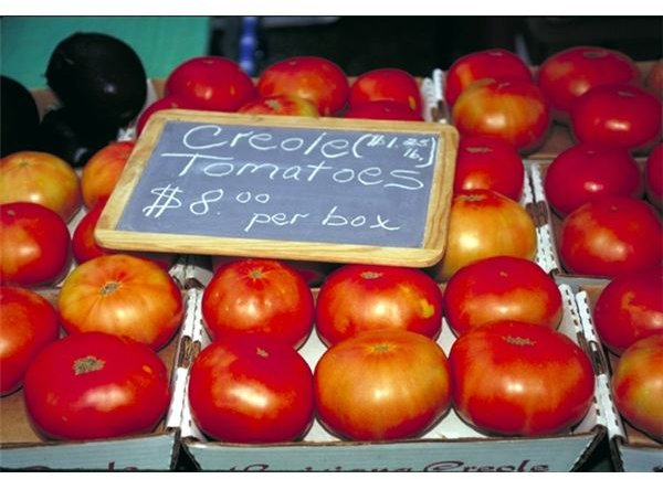 Tomatoes (USDA OPC)