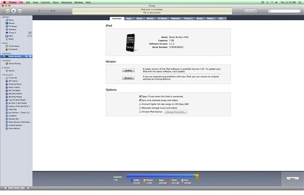 apple ipod updater