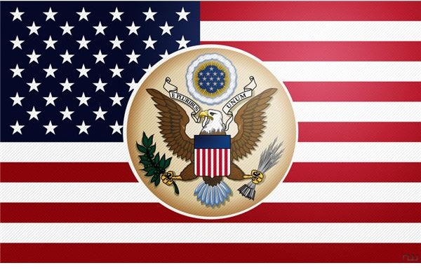 Flag of the USA by arvernus