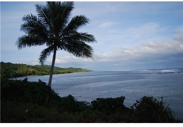 Coral Reefs in Fiji - Up Close with a Marine Scientist