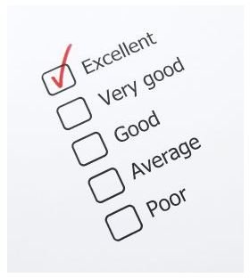 Performance Appraisal Rating Problems: Limitations of Performance Evaluation Methods
