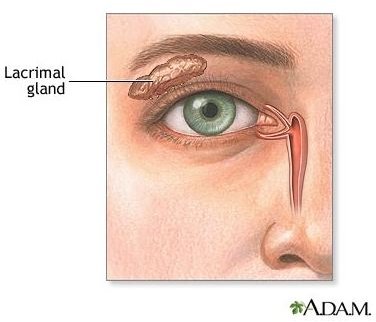 Natural Relief for Severe Dry Eyes: How to Prevent and Treat Dry Eye Symptoms