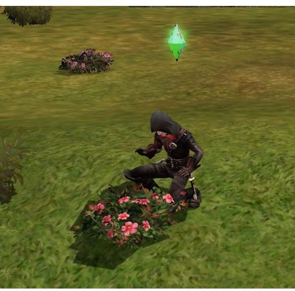 The Sims Medieval Spy Collecting Herbs
