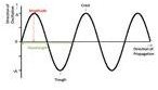 Wave Motion Transverse Wave