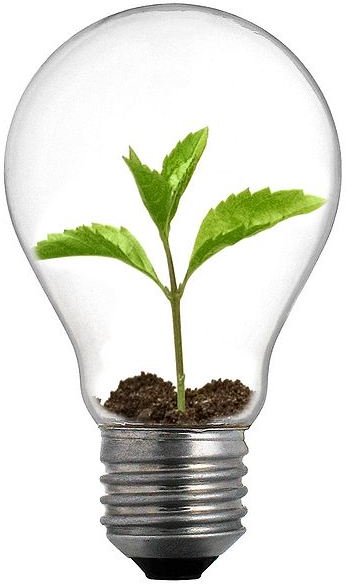 Surprising Green Technology Facts: Is Green Always Better?