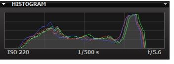 Histogram