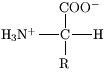 Atomic Structure of Amino Acids