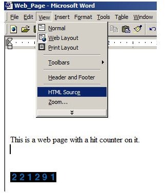 website word counter