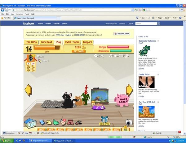 Facebook Games: Happy Pets New Players Guide - Learn To Manage Your Facebook Pet