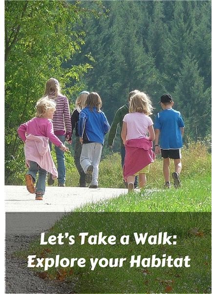 Habitat Lesson for Kids and Parents: Learn about Your Environment with a Family Walk