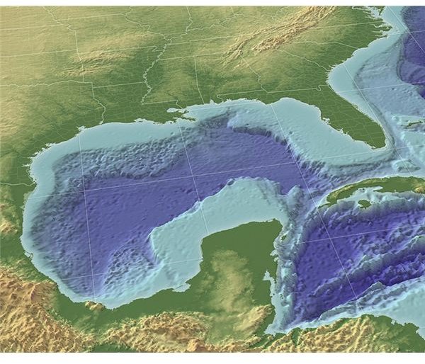 Gulf of Mexco Coastline Ecosystem