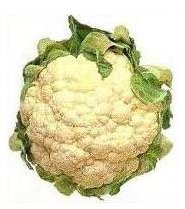 Benefits of Cruciferous Vegetables | List of Cruciferous Vegetables