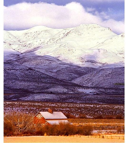 Protecting Idaho: Loss of Biodiversity in Idaho & Preserving the State's Ecology